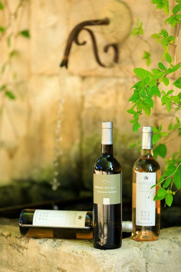 玛斯瓦伦丁酒店 Saint-Rémy-de-Provence 外观 照片