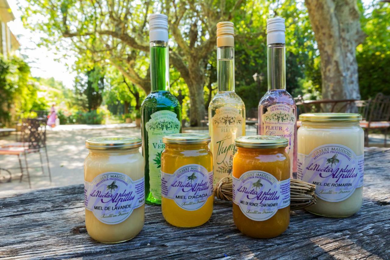 玛斯瓦伦丁酒店 Saint-Rémy-de-Provence 外观 照片